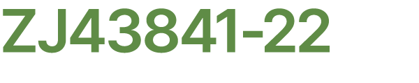 ZJ43841 22