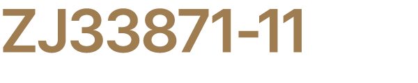 ZJ33871 11