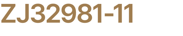 ZJ32981 11