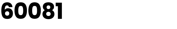 60081