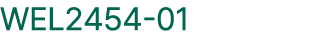 WEL2454 01