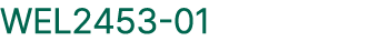 WEL2453 01
