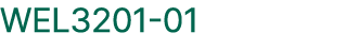 WEL3201 01