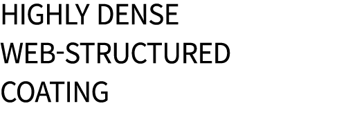Highly dense web-structured coating