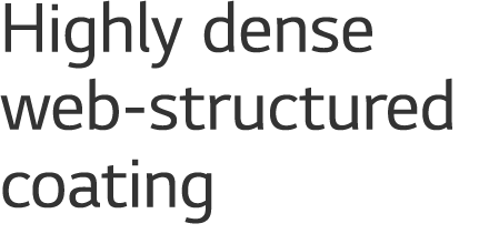 Highly dense web-structured coating