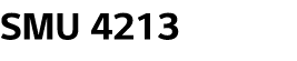 SMU 4213 