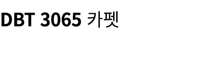 DBT 3065 카펫