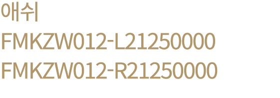 애쉬 FMKZW012 L21250000 FMKZW012 R21250000