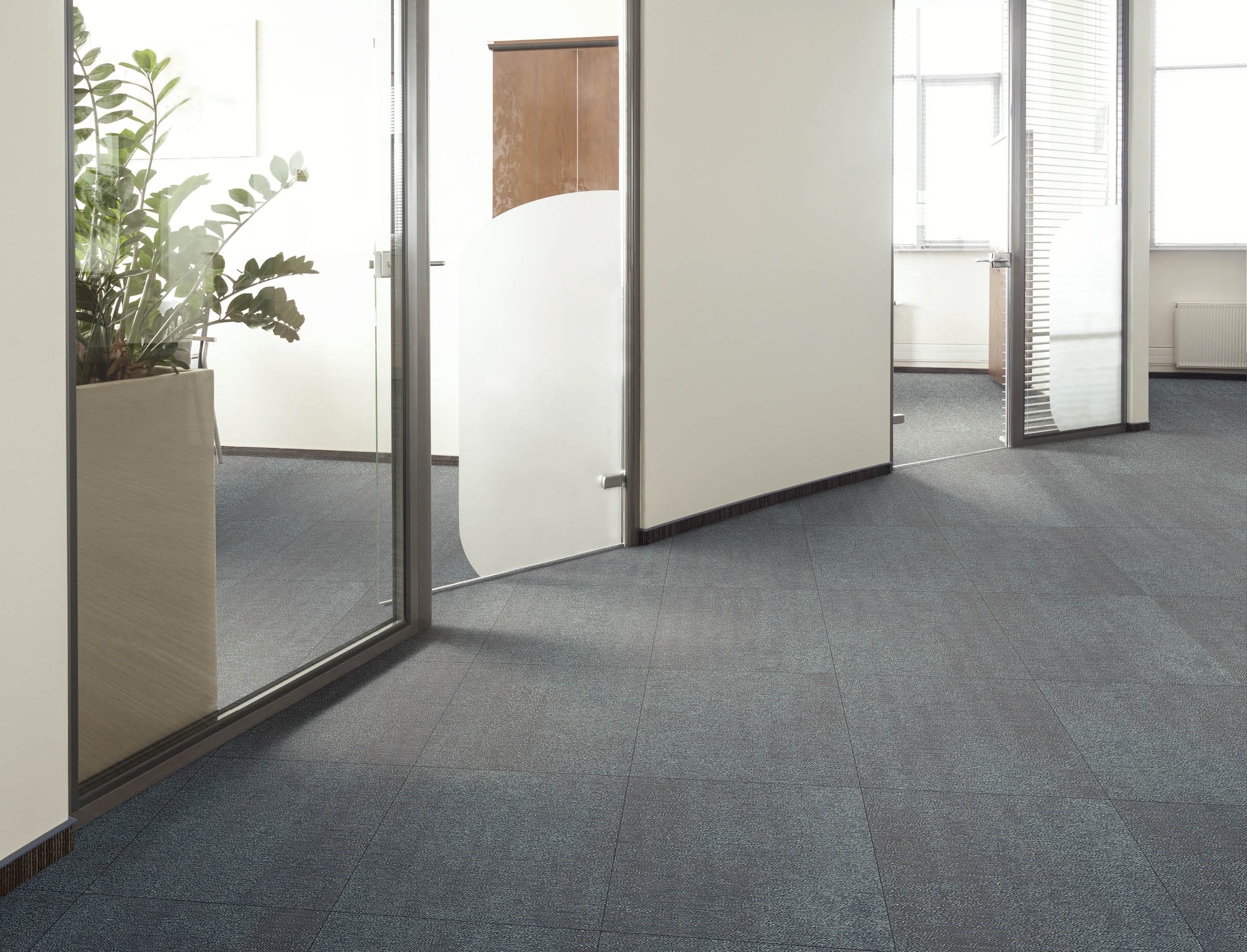 Modern interior of an office, glass door