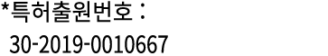 *특허출원번호 : 30 2019 0010667