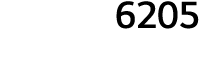 6205