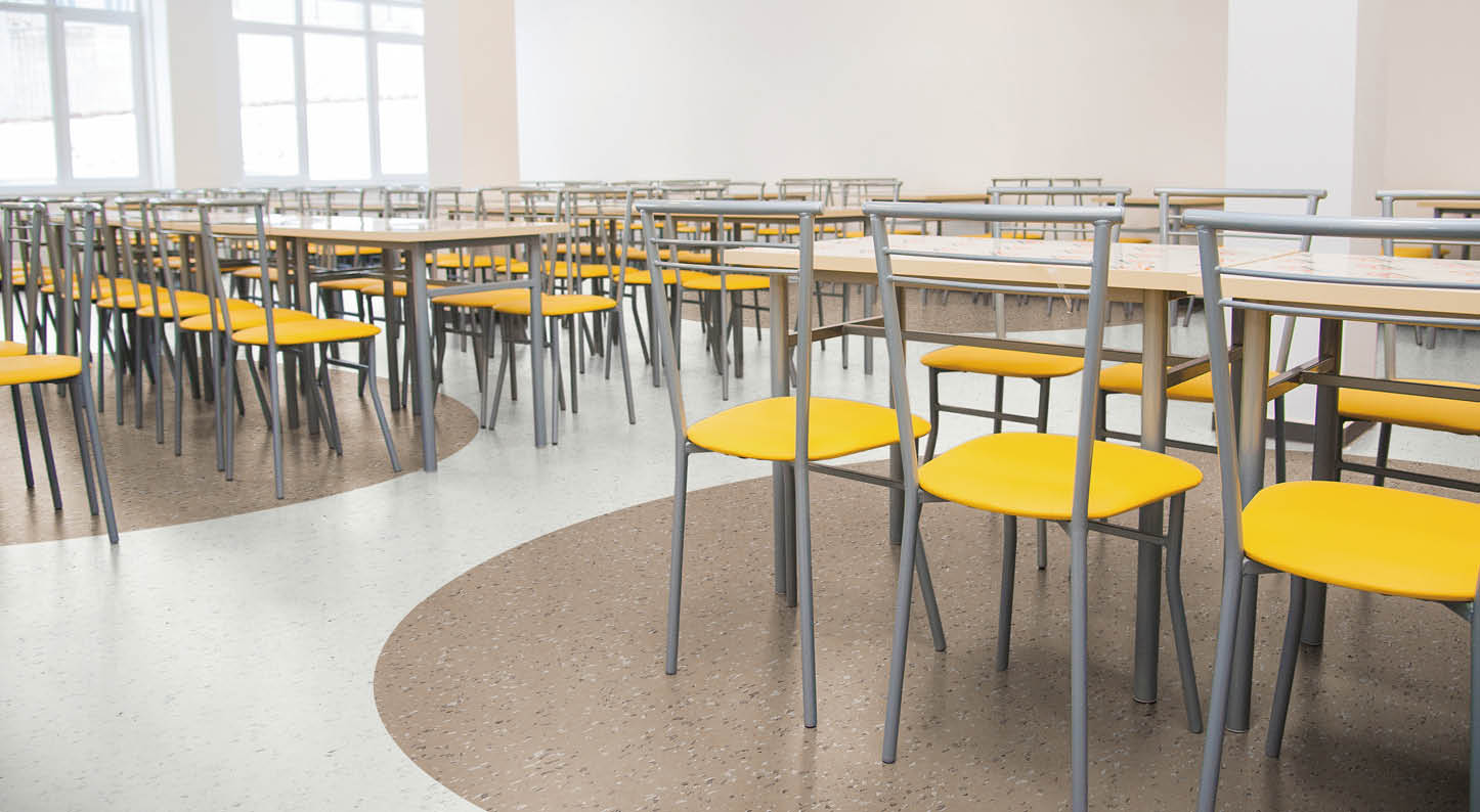 Modern new school building  Cafeteria in modern school