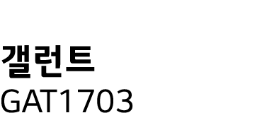     GAT1703